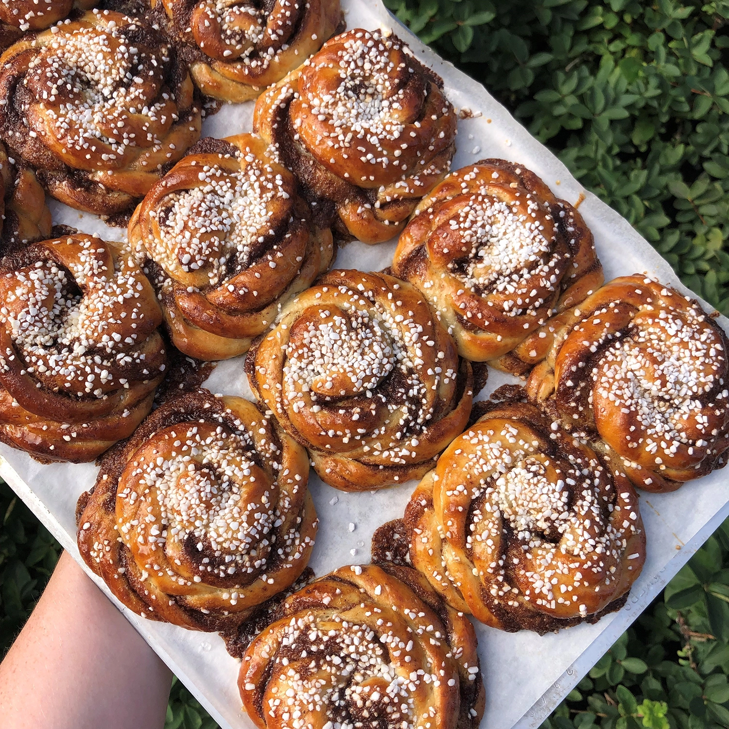 Picture of cinnamon buns